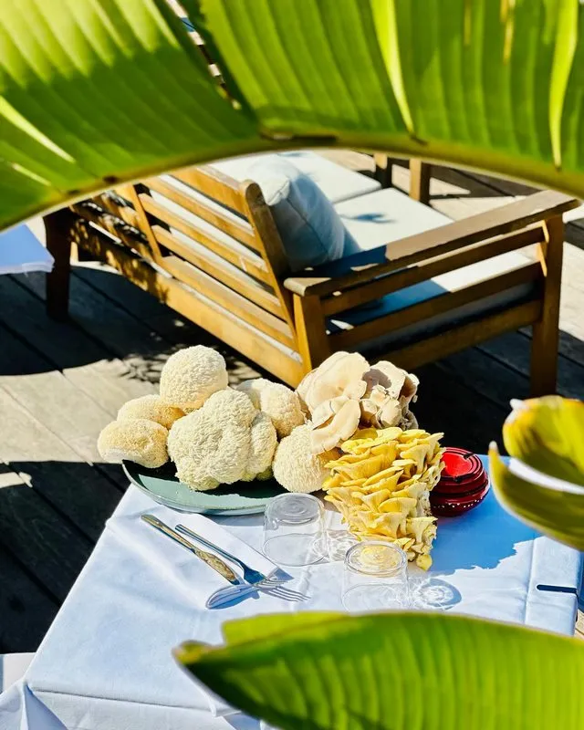 Plats, Antibes, L'Ôstral